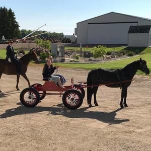 Meet your Posher, Nancy